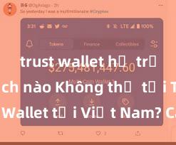 trust wallet hỗ trợ giao dịch nào Không thể tải Trust Wallet tại Việt Nam? Cách khắc phục